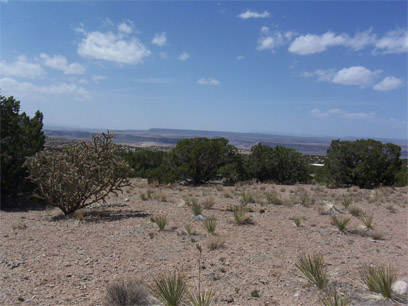 Palomar Lot 17